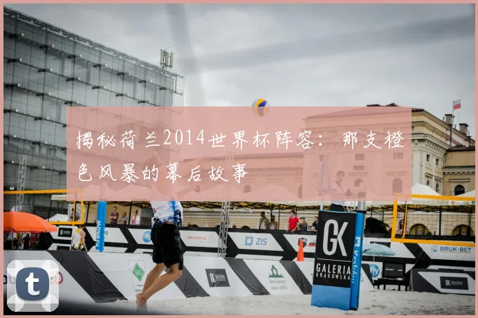 揭秘荷兰2014世界杯阵容：那支橙色风暴的幕后故事