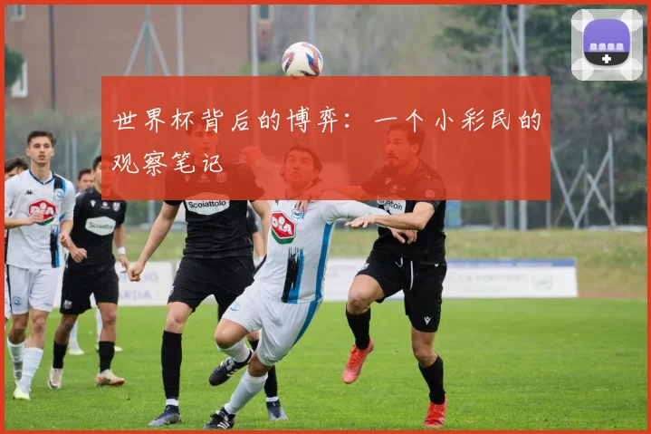 世界杯背后的博弈:一个小彩民的观察笔记