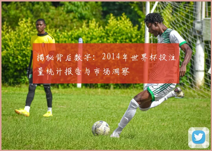 揭秘背后数字：2014年世界杯投注量统计报告与市场洞察