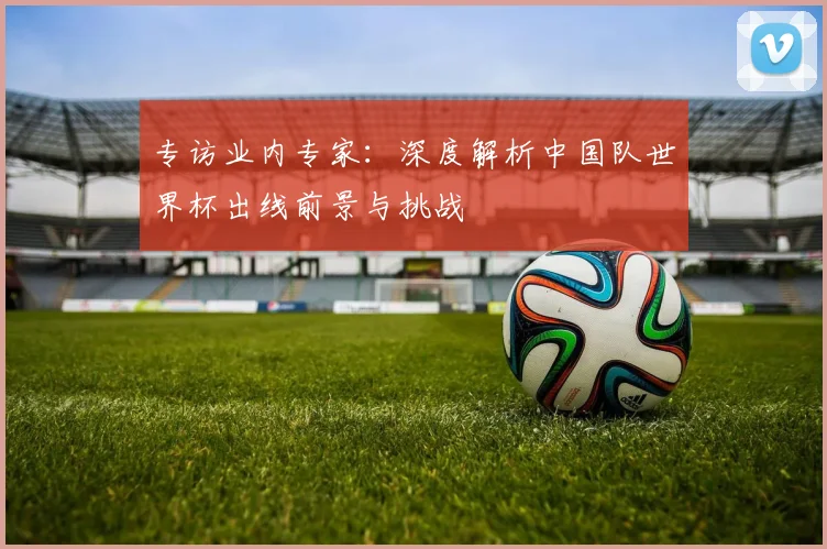 专访业内专家:深度解析中国队世界杯出线前景与挑战