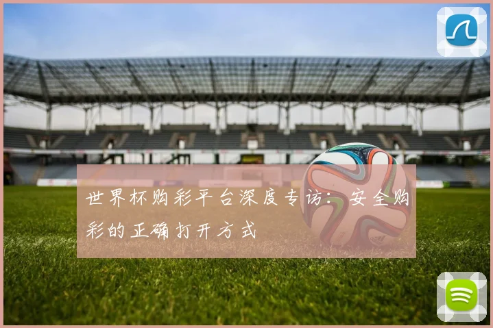 世界杯购彩平台深度专访：安全购彩的正确打开方式
